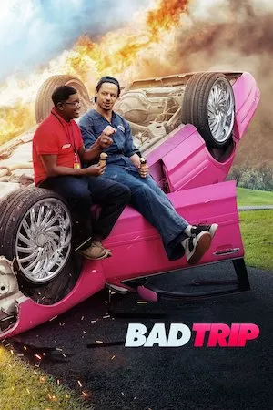 Poster Un mal viaje