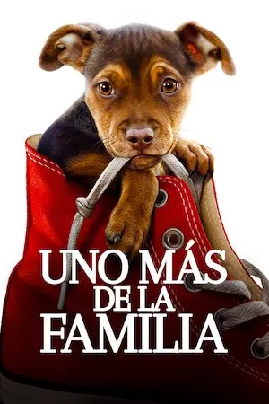 A Dog’s Way Home (Mis huellas a casa)