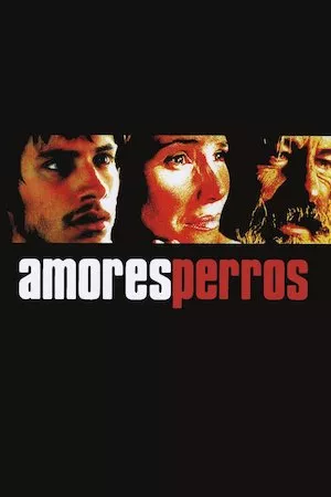 Amores perros