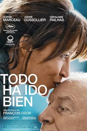 Poster Todo ha ido bien