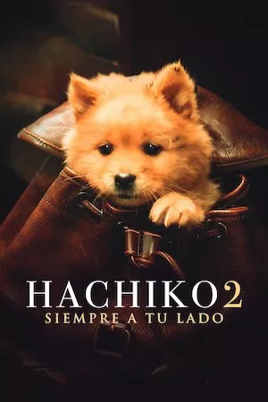 Hachiko