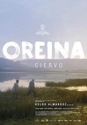 Oreina (Ciervo)