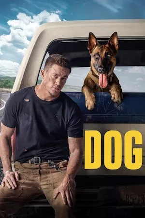 Poster Dog