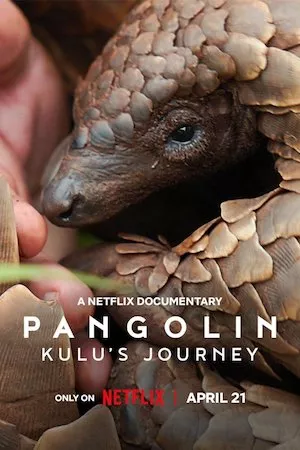 Pangolín: El viaje de Kulu