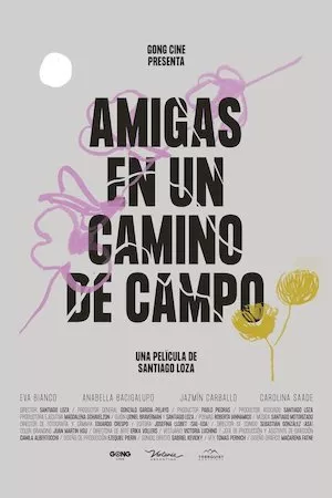 Amigas en un camino de campo