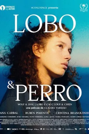 Wolf & Dog (Lobo & Perro)