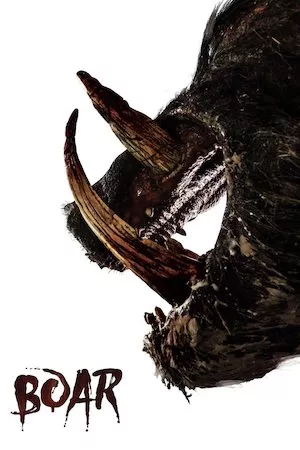 Boar