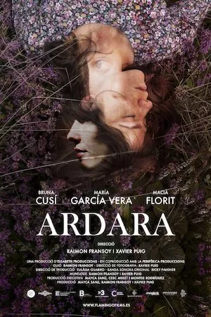 Ardara