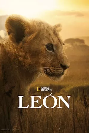 Poster LION