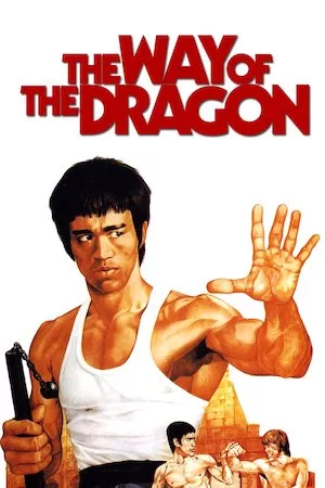 Poster El furor del dragón