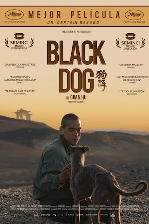 Black Dog
