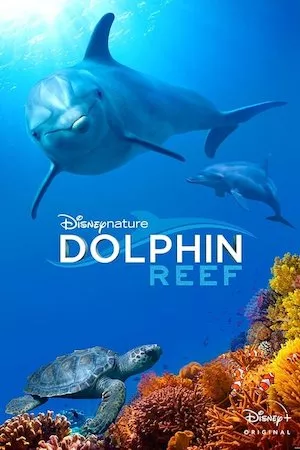Poster Dolphin Reef