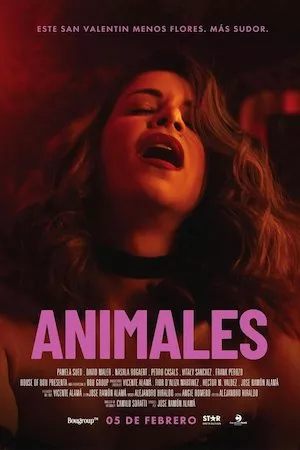 Poster Animales