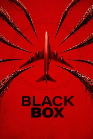 Poster Black Box: Vuelo 298