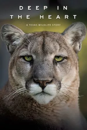Deep in the Heart: A Texas Wildlife Story