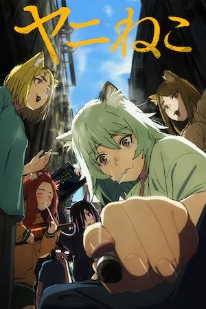 Poster Chainsmoker Cat