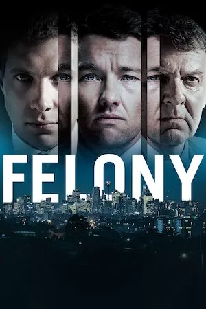 Felony (El rastro del delito)