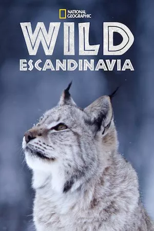 Escandinavia salvaje (Wild Nordic)