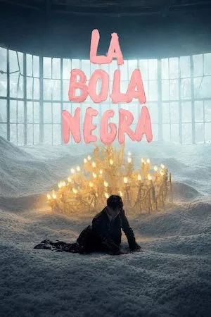 La bola negra