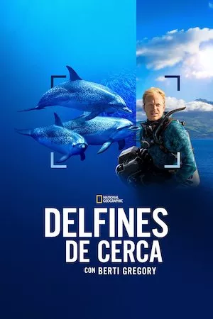 Poster Delfines en primer plano con Bertie Gregory