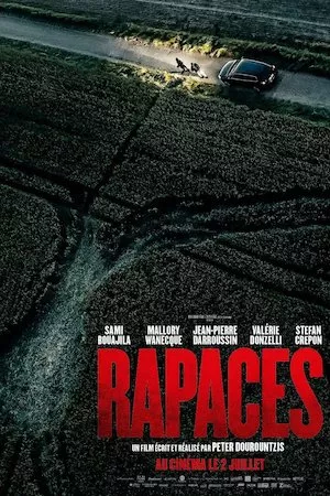 Rapaces